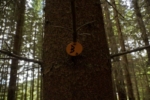 tabor 2014 059